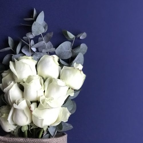 The White Edit Roses